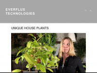 everfluxtechnologies.com Webseite Vorschau