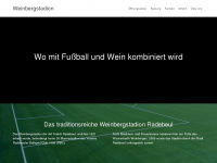 weinbergstadion-radebeul.de Webseite Vorschau