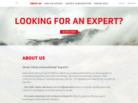 international-experts.ch Webseite Vorschau