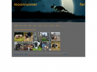 moonrunner.at Webseite Vorschau