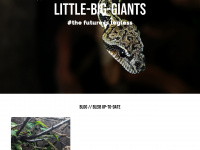 little-big-giants.com Webseite Vorschau