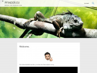 pfinder.eu Webseite Vorschau