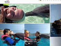 dolphintherapyland.com Webseite Vorschau