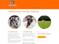 erv-dinslakener-kobras.com Webseite Vorschau