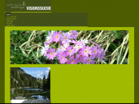 visionssuche.ch Webseite Vorschau