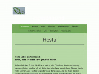 hostafreund.de Webseite Vorschau