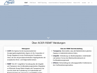 remitcloud.de Webseite Vorschau