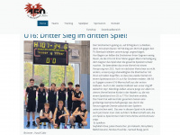 sinsheim-basketball.de Webseite Vorschau
