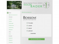 bossom.net Webseite Vorschau