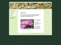 conos-paradise.com Webseite Vorschau