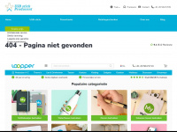 usbstick-producent.nl Webseite Vorschau