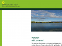 gruene-karlsfeld.de Webseite Vorschau