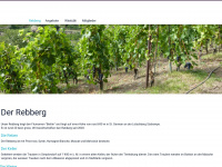 bieltin.ch Webseite Vorschau