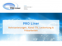 proliner.ch Webseite Vorschau
