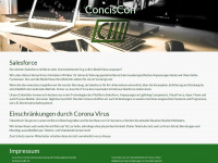 conciscon.de Webseite Vorschau