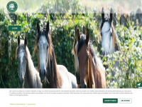 connemara-pony-ig.de Webseite Vorschau