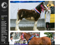 clydesdalehorsesociety.com Webseite Vorschau