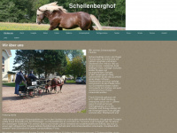 schellenberghof.de Webseite Vorschau