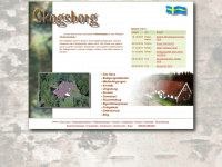 skogsborg.de Webseite Vorschau