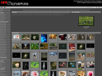 myolympus.org Webseite Vorschau