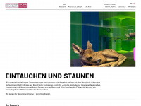nmbs.ch Webseite Vorschau