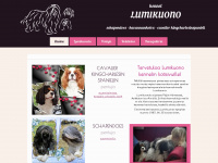 Lumikuono.com