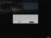 piazzi.net Webseite Vorschau