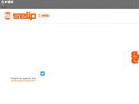 selip.biz Webseite Vorschau