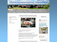 transitiongrafing.de Webseite Vorschau
