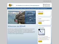 brline.eu Webseite Vorschau