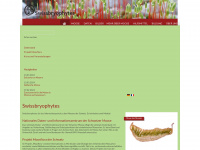 swissbryophytes.ch Webseite Vorschau
