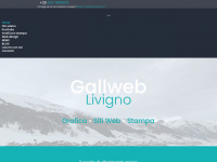 gallweb.it Webseite Vorschau