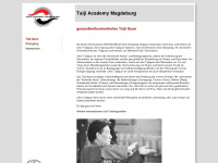 taiji-academy-magdeburg.de Webseite Vorschau