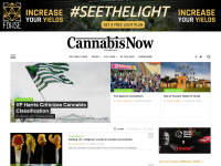 cannabisnow.com Thumbnail