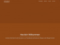 kirchweih-hilzingen.de Webseite Vorschau