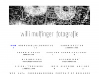 willimulfinger.de Thumbnail