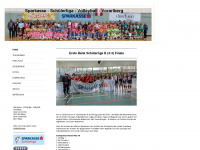 sparkasse-schuelerliga-volleyball-vorarlberg.at Webseite Vorschau