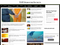 top10grocerysecrets.com Webseite Vorschau