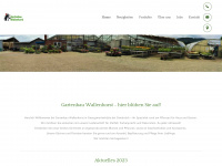 gartenbau-wallenhorst.de Webseite Vorschau