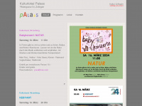 palass.ch Webseite Vorschau