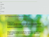 ig-transparente-berufsbildung.ch Webseite Vorschau