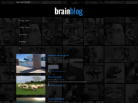 brainblog.net Webseite Vorschau