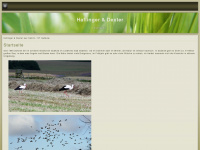 haflinger-dexter.de Webseite Vorschau