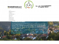 bergstadtverein-ev.de Webseite Vorschau