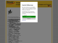 tandem-trike.com Webseite Vorschau