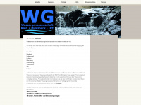 wg-ried.at Webseite Vorschau