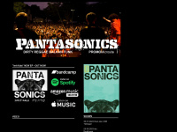 pantasonics.com Webseite Vorschau