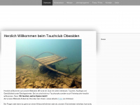tcow.ch Webseite Vorschau