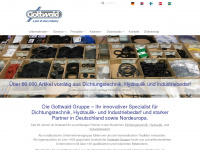 gottwald-hydraulik.com Webseite Vorschau