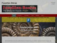 fossilien-boerse.de Webseite Vorschau